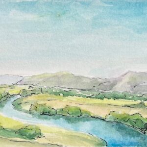 WATERCOLOUR & INK POSTCARD DAY