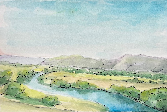 WATERCOLOUR & INK POSTCARD DAY